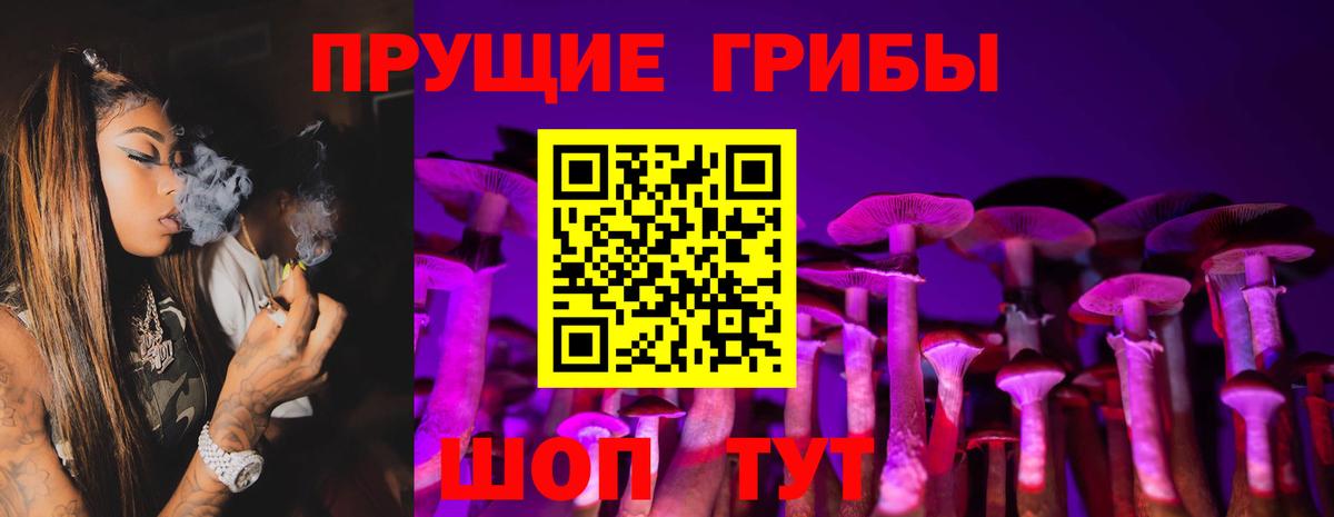 Щёкино  Галлюциногенные грибы мухоморы  Вход с VPN 